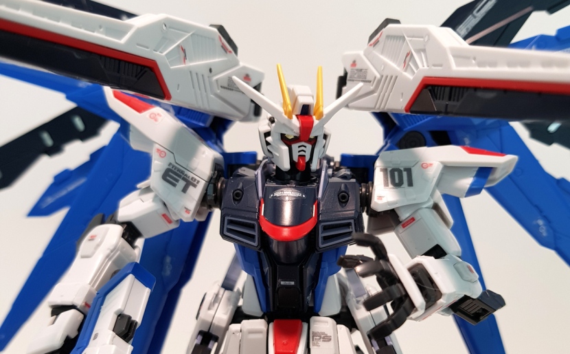 Real Grade Freedom Gundam